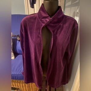 Faded Glory Rich Purple Velvet Blouse